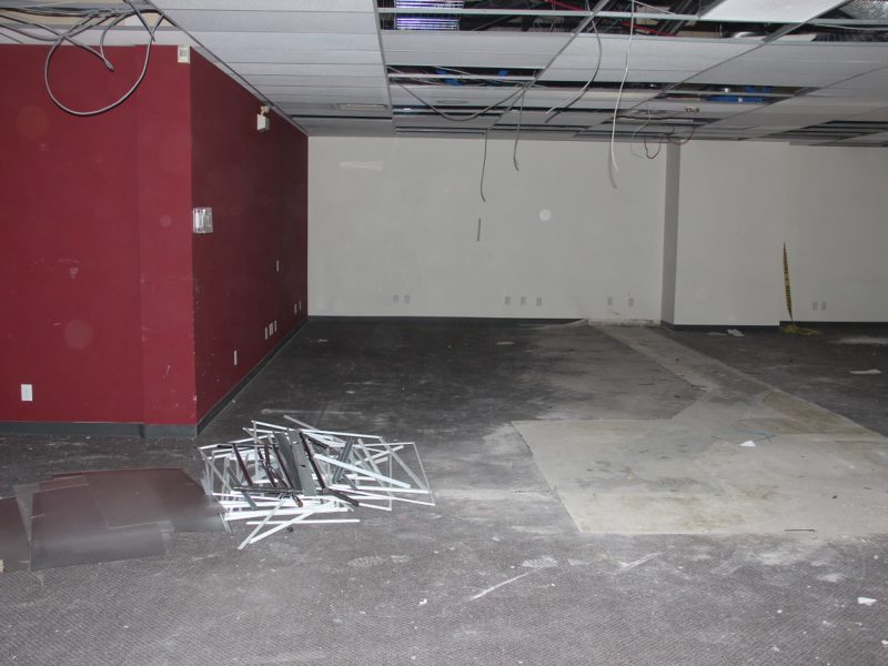 The Wild Bird Store Calgary's Backyard Birding Specialist