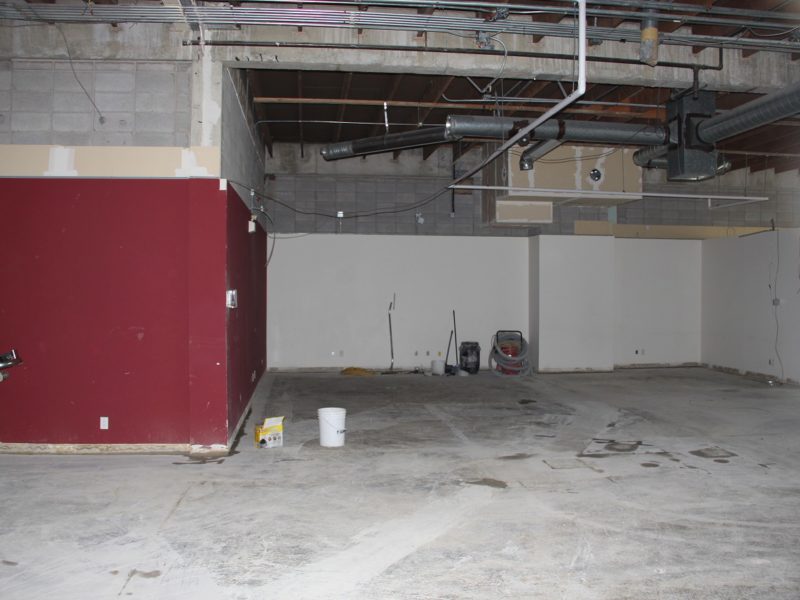 The Wild Bird Store Calgary's Backyard Birding Specialist