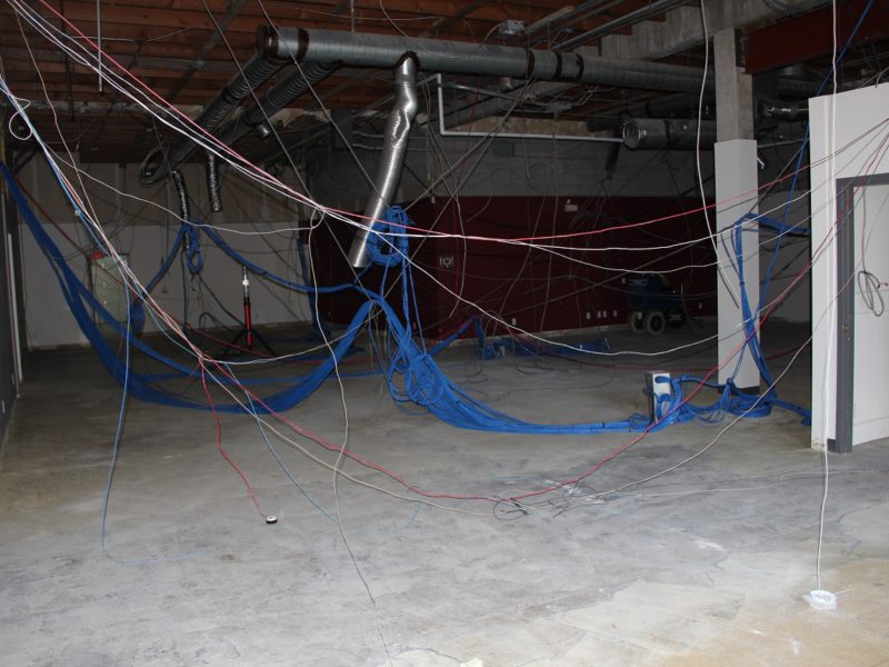 The Wild Bird Store Calgary's Backyard Birding Specialist