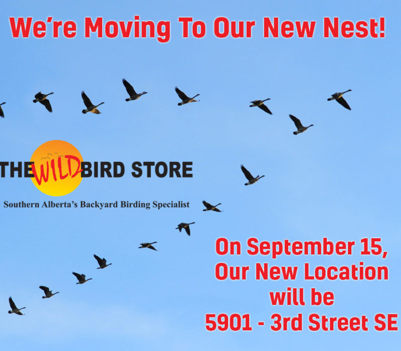 The Wild Bird Store Calgary's Backyard Birding Specialist