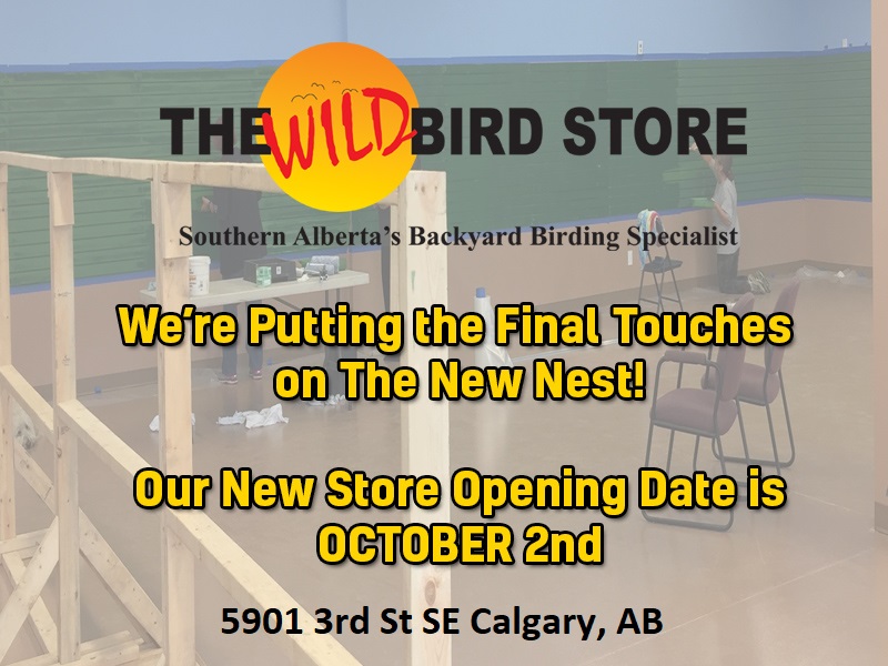 The Wild Bird Store Calgary's Backyard Birding Specialist