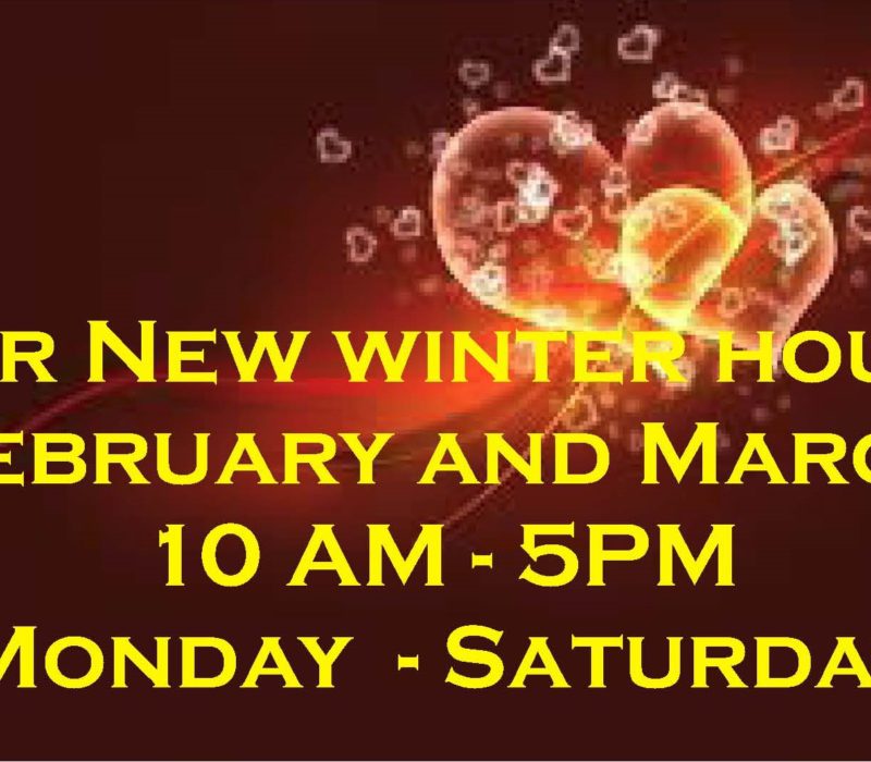 The Wild Bird Store Calgary's Backyard Birding Specialist