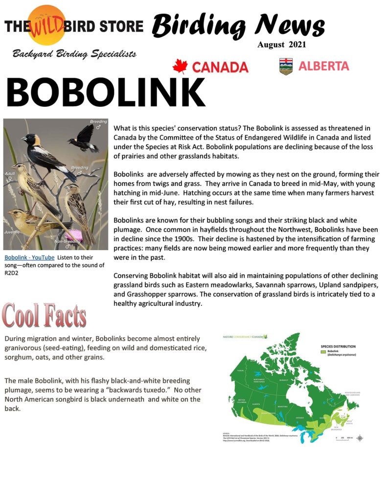 The Wild Bird Store Southern Alberta's Backyard Birding Specialist