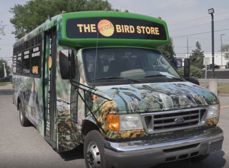 The Wild Bird Store Backyard Birding Specialist