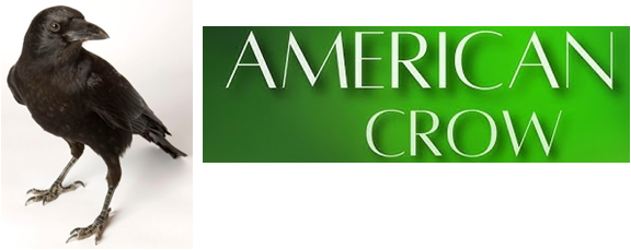 28 years, another chance to celebrate with our great customers, and our crow friends.